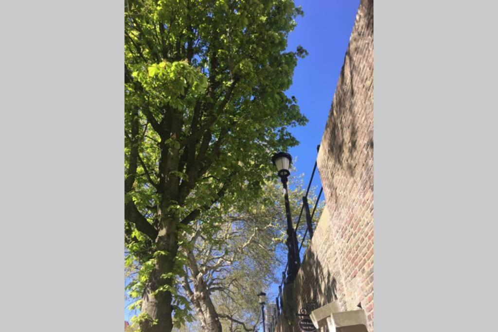 Апартаменты Werfkelder Aan De Oudegracht Утрехт Экстерьер фото
